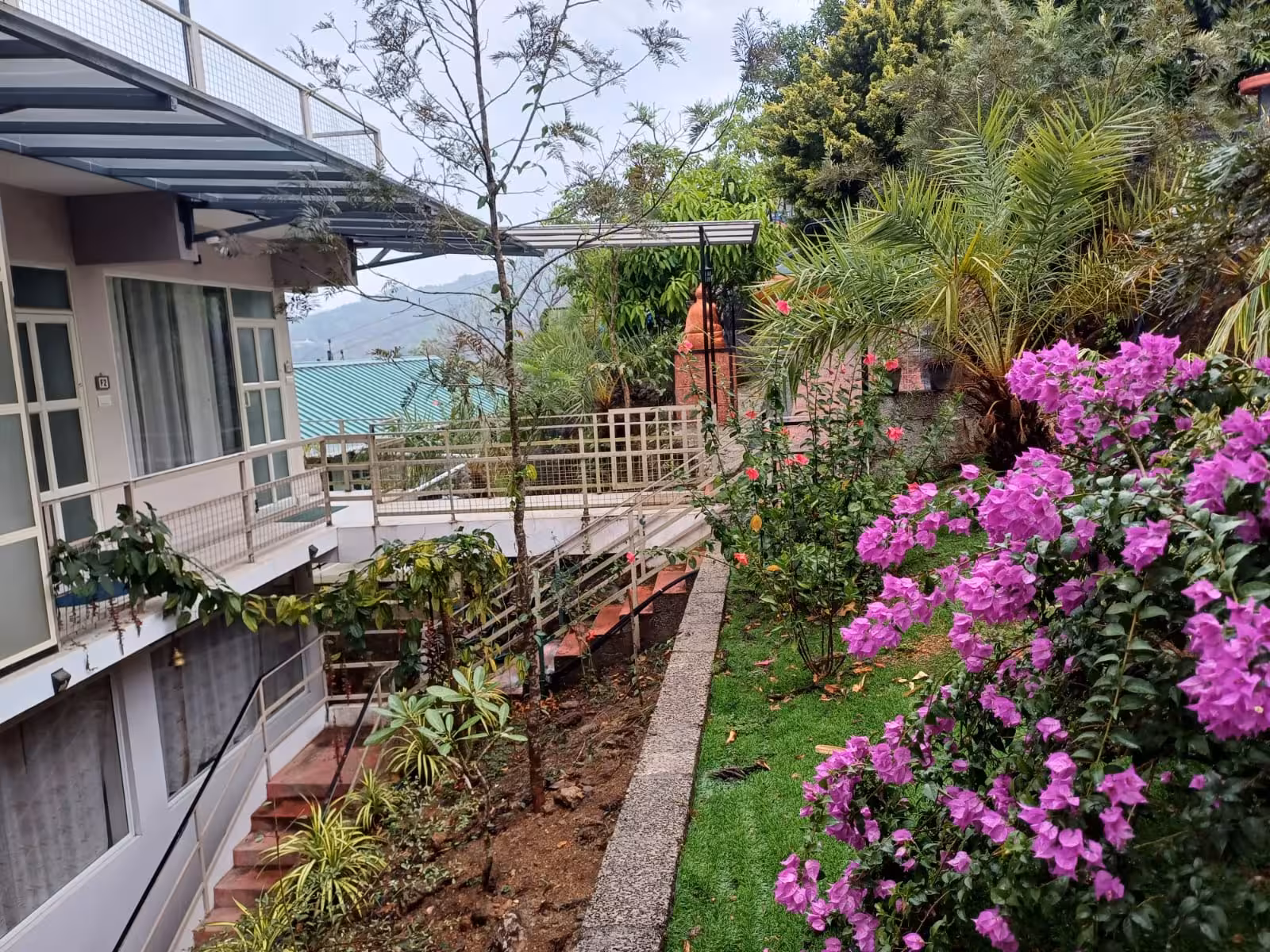 Garden and flowers outside