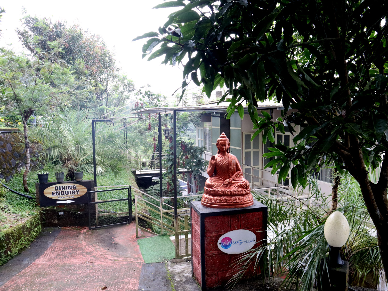 Lush green garden and flowers of our campus